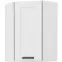 Skrinka do kuchyne LUNA biely/biely 60X60 GN-90 1F (45°)