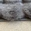 Koberec Fuzzy Bubble 0,8/1,5 995 antracit,7