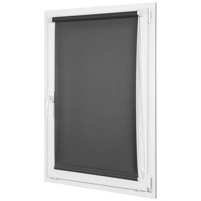 Roleta Mini Lech 72/215 2117