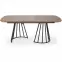 Stôl Everton mdf/oceľ – orech/čierna,6