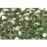 Zástena umelé listy 90x180 vrb.mreža 7 cm WXX30881