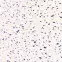 Samolepiaca fólia f3468202 0.675x2m