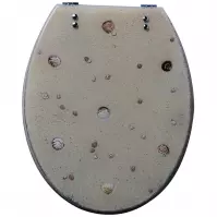 WC Doska Mušle