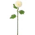 Chryzantéma biela pompon 51 cm