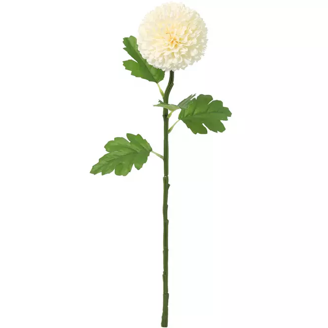 Chryzantéma biela pompon 51 cm