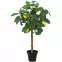Umelý citrusový stromček 65 cm