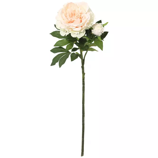 Vetvička Pivonka 112 cm