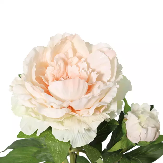 Vetvička Pivonka 112 cm