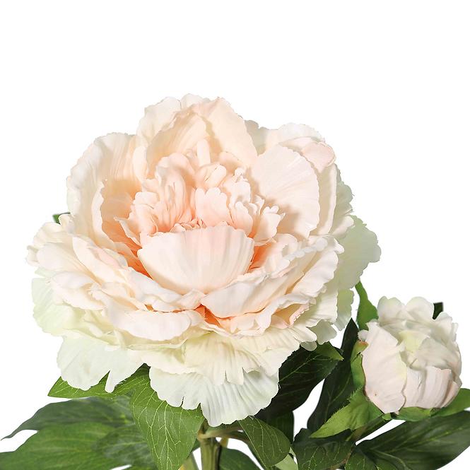Vetvička Pivonka 112 cm,2