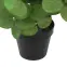 Umelý eukalyptus v kvetináči 50 cm,3