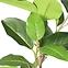 Umelý kvet v kvetináči Ficus Alpine 92 cm,2