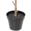 Umelý kvet v kvetináči Ficus Alpine 92 cm,3