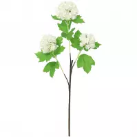 Vetvička kaliny 60 cm