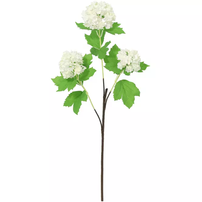 Vetvička kaliny 60 cm
