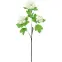 Vetvička kaliny 60 cm