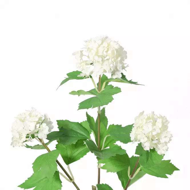 Vetvička kaliny 60 cm