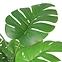 Umelá monstera v kvetináči 83 cm,2
