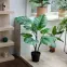 Umelá monstera v kvetináči 83 cm,4