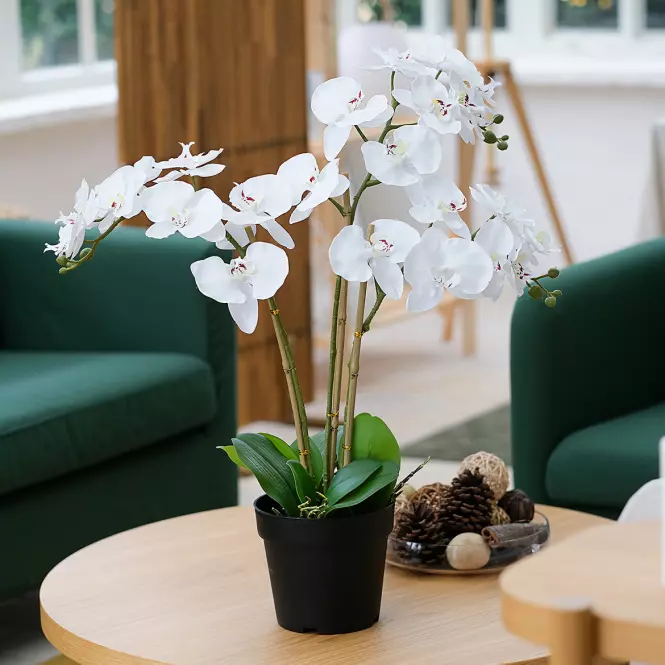 Umelá orchidea 3-puková Planta Artf v kvetináči 90 cm