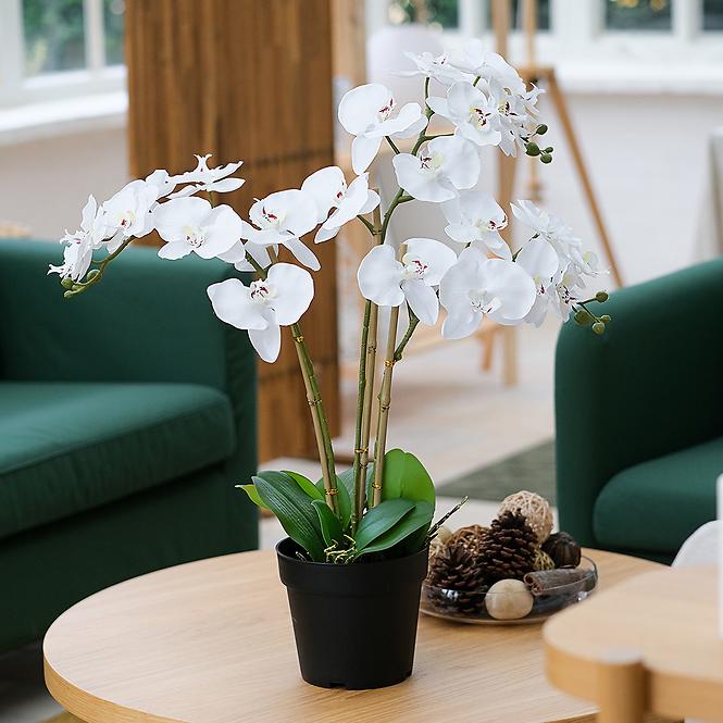 Umelá orchidea 3-puková Planta Artf v kvetináči 90 cm