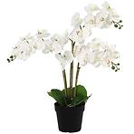 Umelá orchidea 3-puková Planta Artf v kvetináči 90 cm