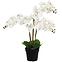 Umelá orchidea 3-puková Planta Artf v kvetináči 90 cm