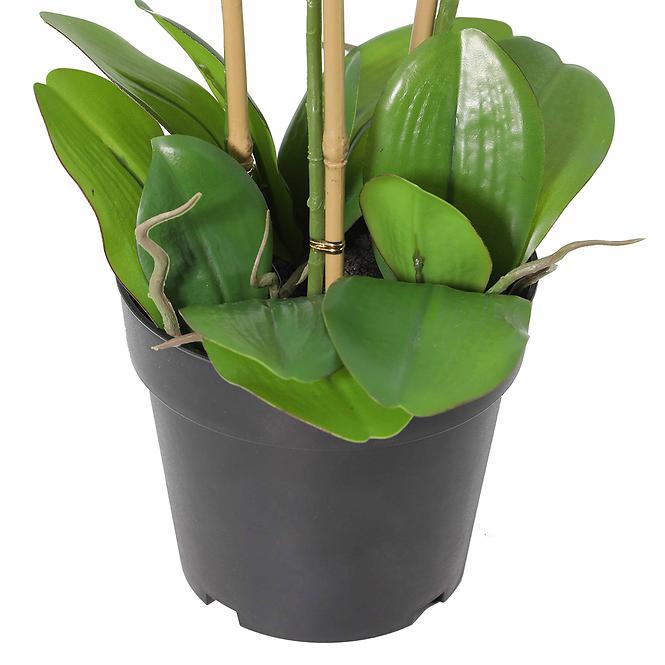 Umelá orchidea 3-puková Planta Artf v kvetináči 90 cm