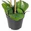 Umelá orchidea 3-puková Planta Artf v kvetináči 90 cm,4