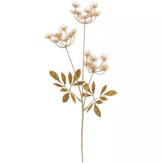 Vetvička svetlohnedej orlaji 50 cm