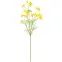 Vetvička harmančeka Chameolie 66 cm