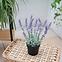 Umelá lavenduľa v kvetináči 25 cm,4