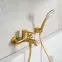 Sprchový set Moza Brushed Gold,4