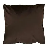 svetlý hnedý