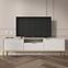 TV Stolík 175 Austin Biela/Zlatá,6