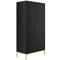 Skriňa Austin 100 cm – čierna/zlatý, dvojdverová