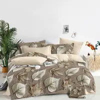 hnedý