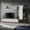 Obývacia stena SILK II PEW SK2 perla elm/biela