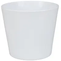 biela