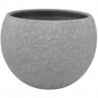 Obal guľa Lizard 12 cm grafit