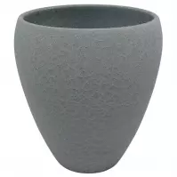 Obal orchidea Lizard 14 cm grafit