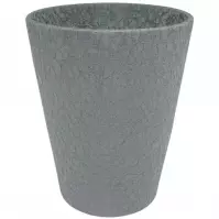 Obal orchidea Calypso Lizard 13 cm grafit