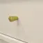 Komoda Tokyo 2  2F pieskovo béžová 812,6