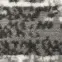 Behúň 80 BCF Kronos 7027 4 333,5