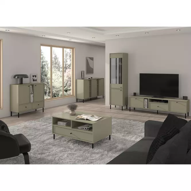 TV Stolík Tokyo 2 2K 1S eukalyptus 313