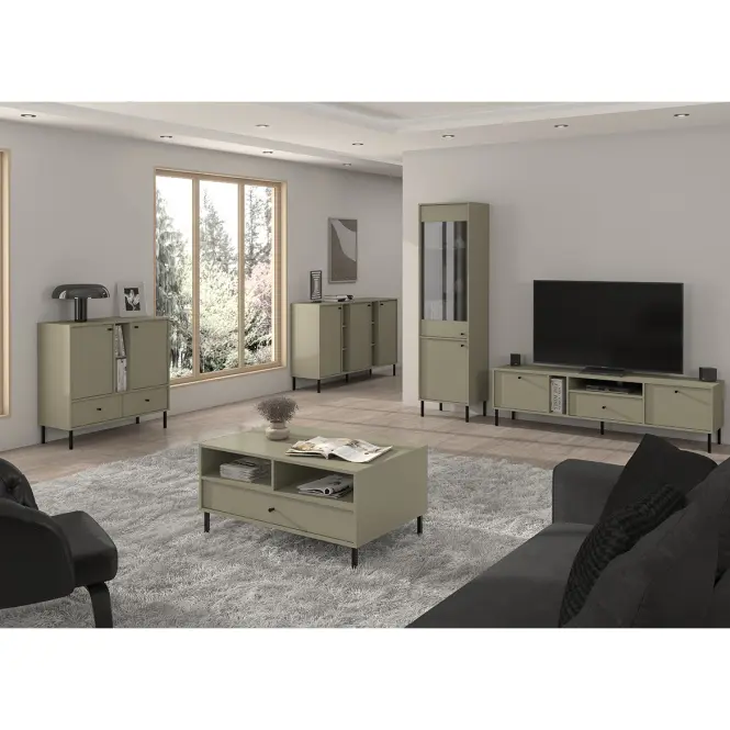 TV Stolík Tokyo 2 2K 1S eukalyptus 313,4