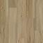 Vinylová podlaha SPC Dub Latte 5/0,55mm Ultra Matt 3D