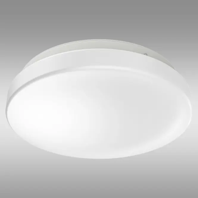 Stropné svietidlo 24W 32,5 cm IP44 PL1