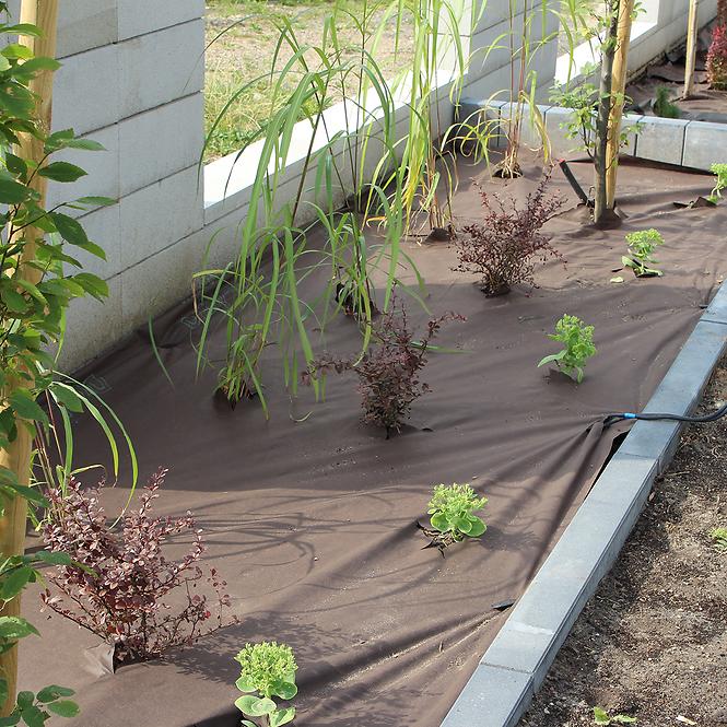 Mulčovacia agrotextília Agrimpex hnedočierna 50 g 0,8x10 m mini rolka