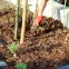 Mulčovacia agrotextília Agrimpex hnedočierna 50 g 0,8x10 m mini rolka,7
