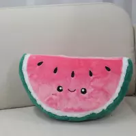 Vankúš Vodný melón 37x20 cm 